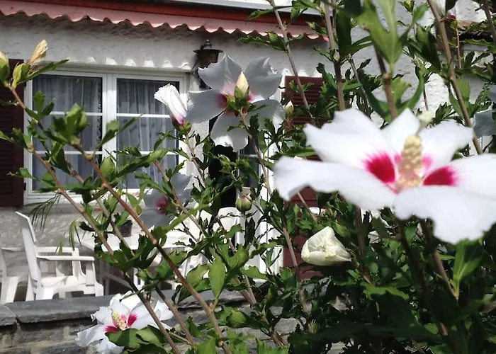 Сasa de vacaciones Casa Franci