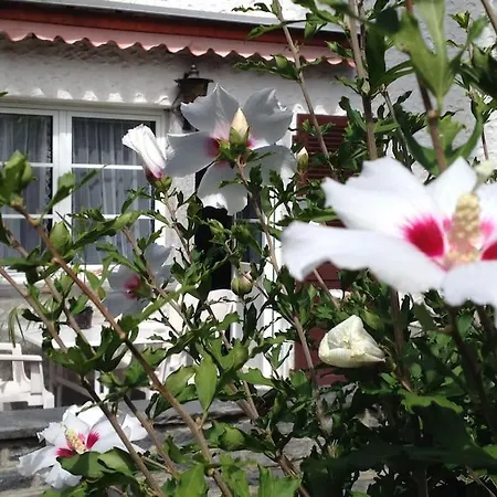 Holiday home Casa Franci